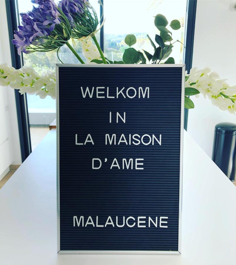 La Maison D Ame - For The Perfect Stay At The Mont Ventoux Malaucene Exterior photo